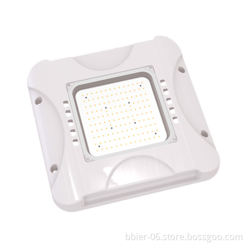 High-Power Outdoor Waterproof LED Canopy Lights for Gas Stations